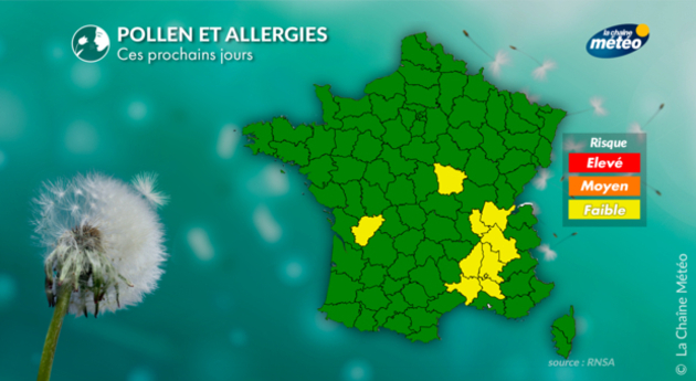 Pollens Et Allergies