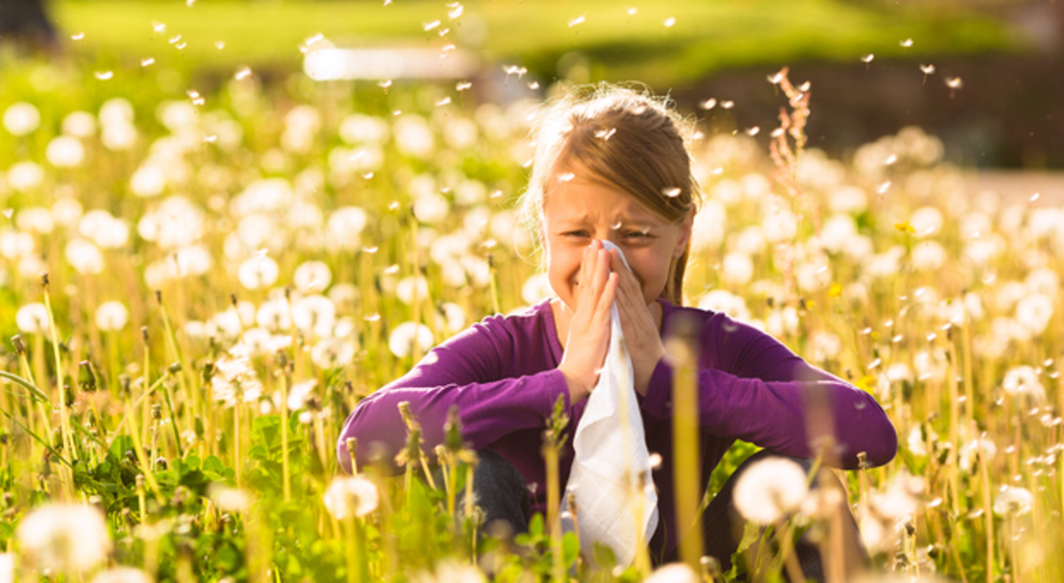 Pollen et allergies : le risque d'allergies faiblit progressivement - La ChaÃ®ne MÃ©tÃ©o