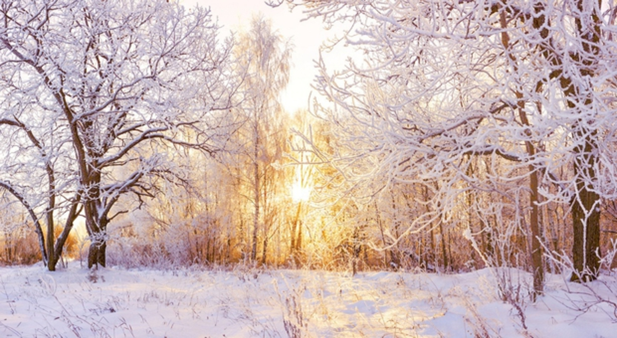 Arrivée de l'hiver : comment s'annonce votre mois de décembre ? - Actualités La Chaîne Météo